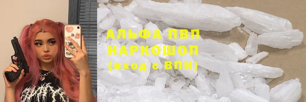 индика Волоколамск