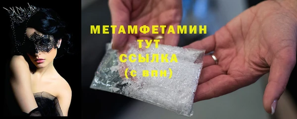 индика Волоколамск