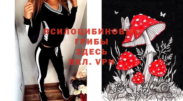 spice Володарск