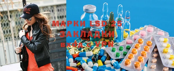 прущие грибы Богданович