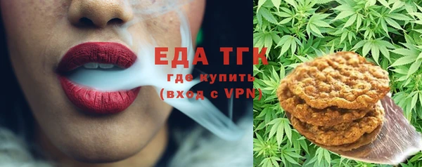 индика Волоколамск